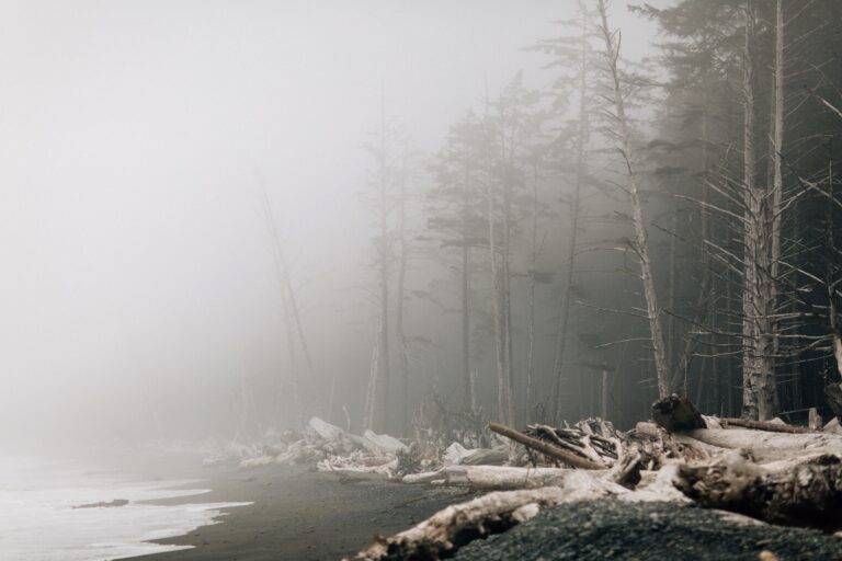 La Push 2017