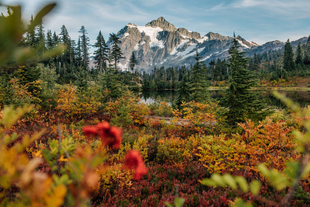mt shuksan in the fall with picture lake